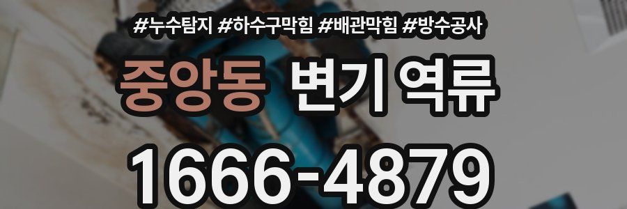 중앙동 변기 역류
