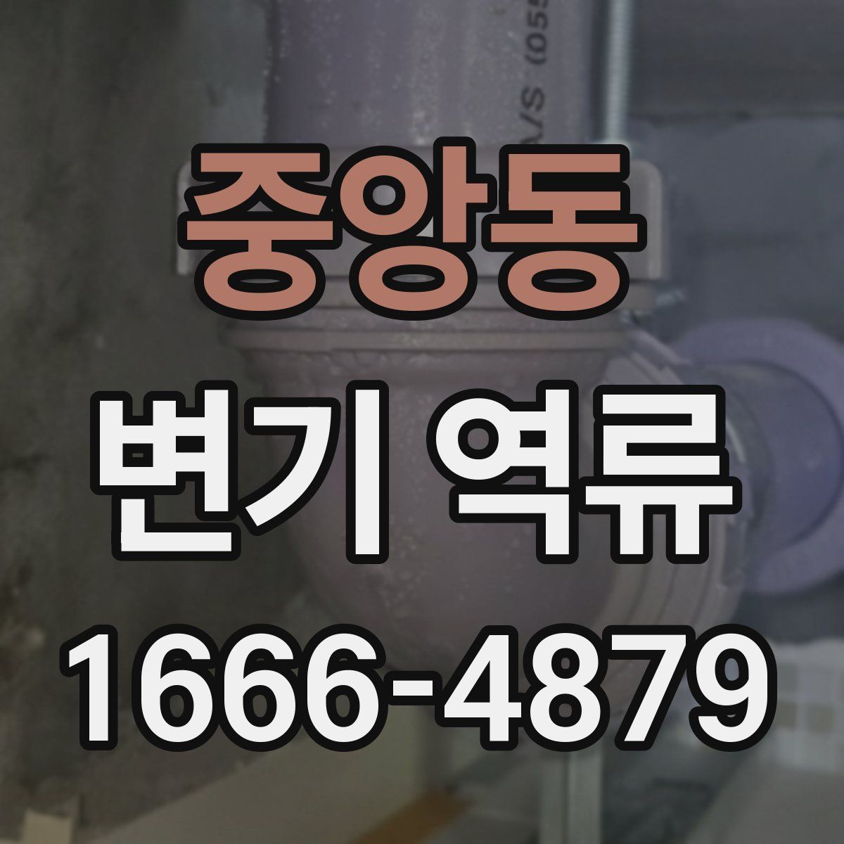 중앙동 변기 역류