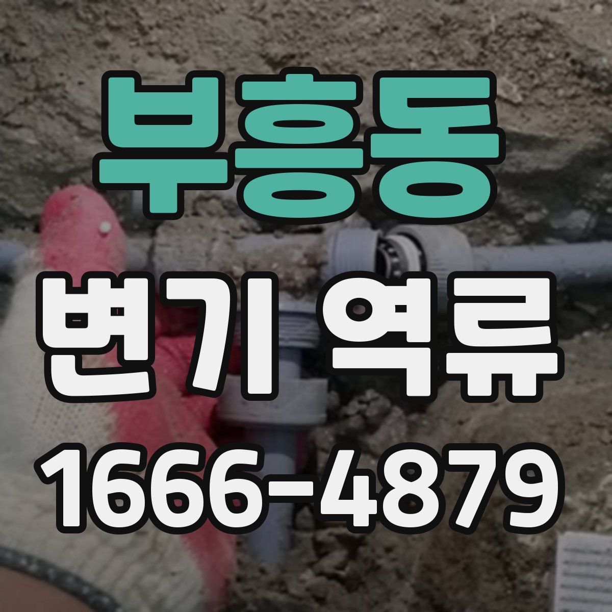 부흥동 변기 역류