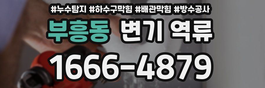 부흥동 변기 역류