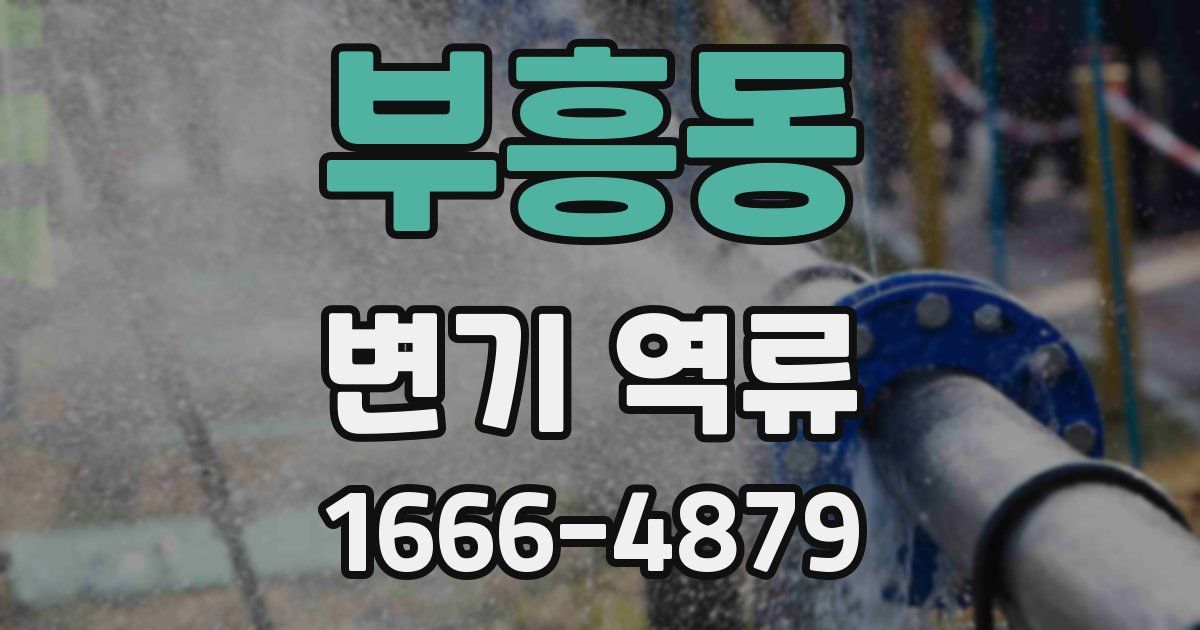 부흥동 변기 역류