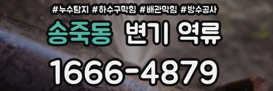 송죽동 변기 역류