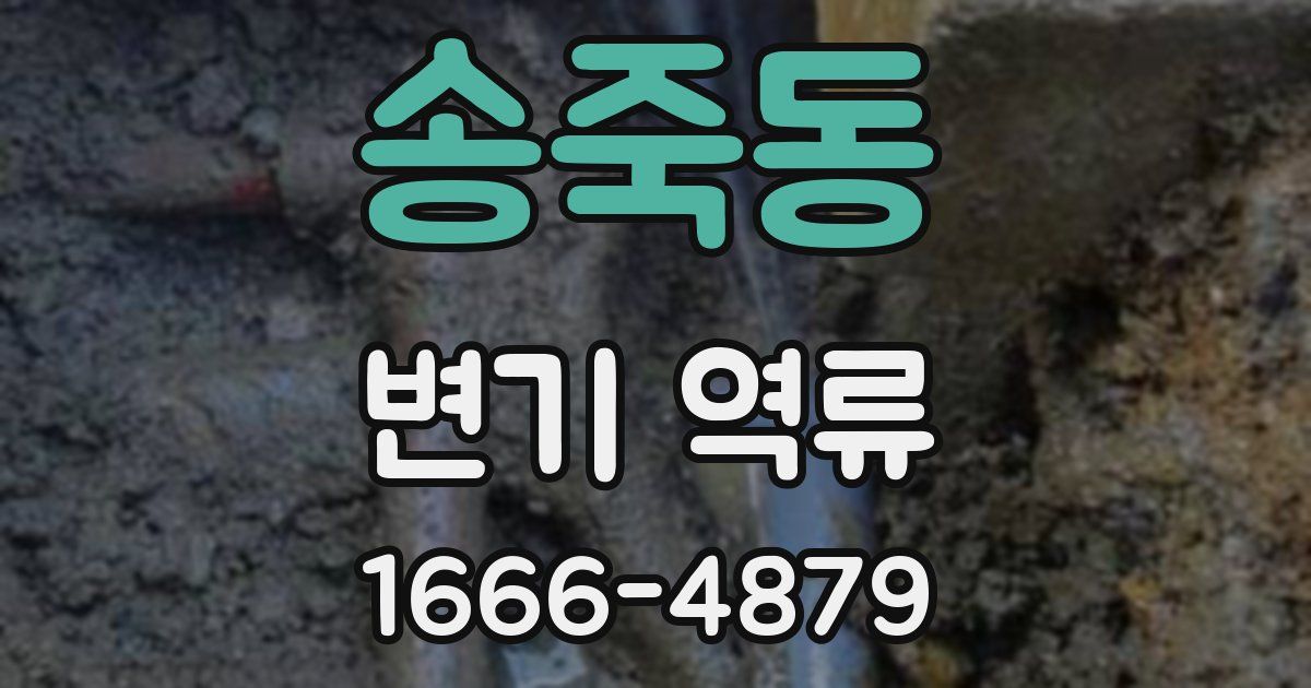 송죽동 변기 역류