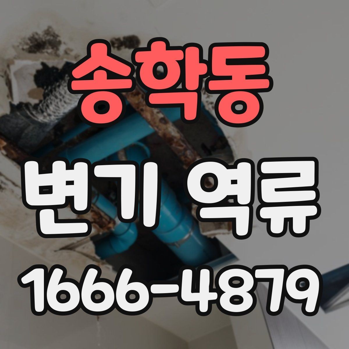 송학동 변기 역류 상황에서 업체를 부르기 전 점검