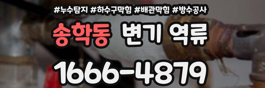 송학동 변기 역류