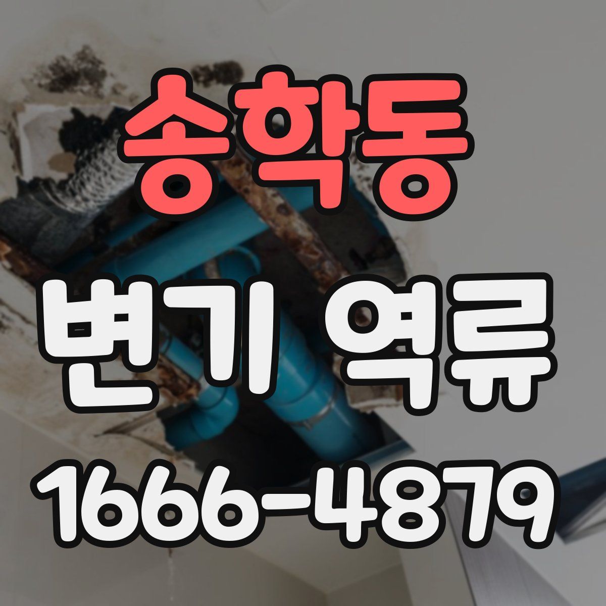 송학동 변기 역류
