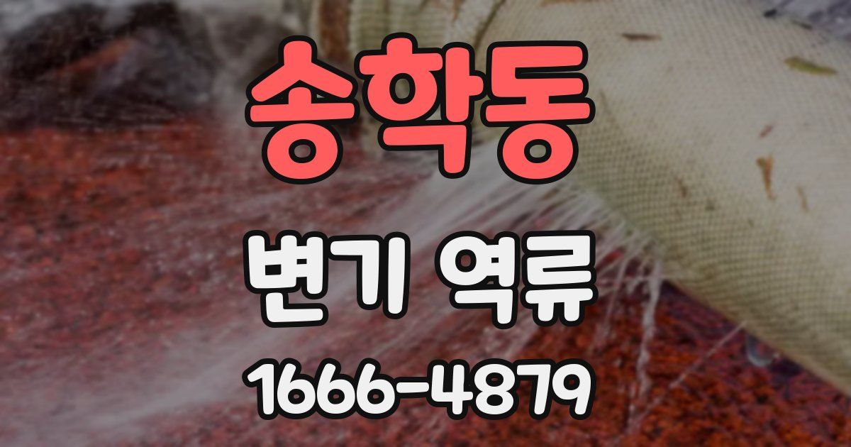 송학동 변기 역류