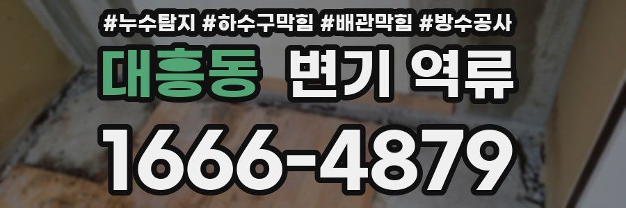 대흥동 변기 역류