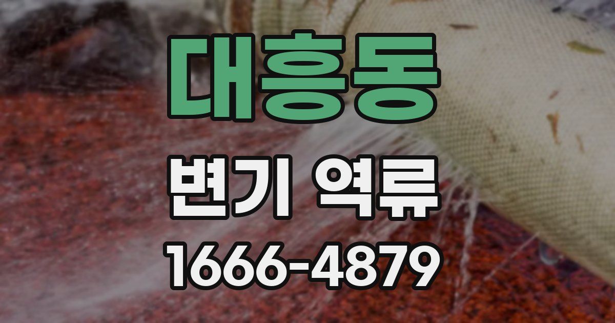 대흥동 변기 역류