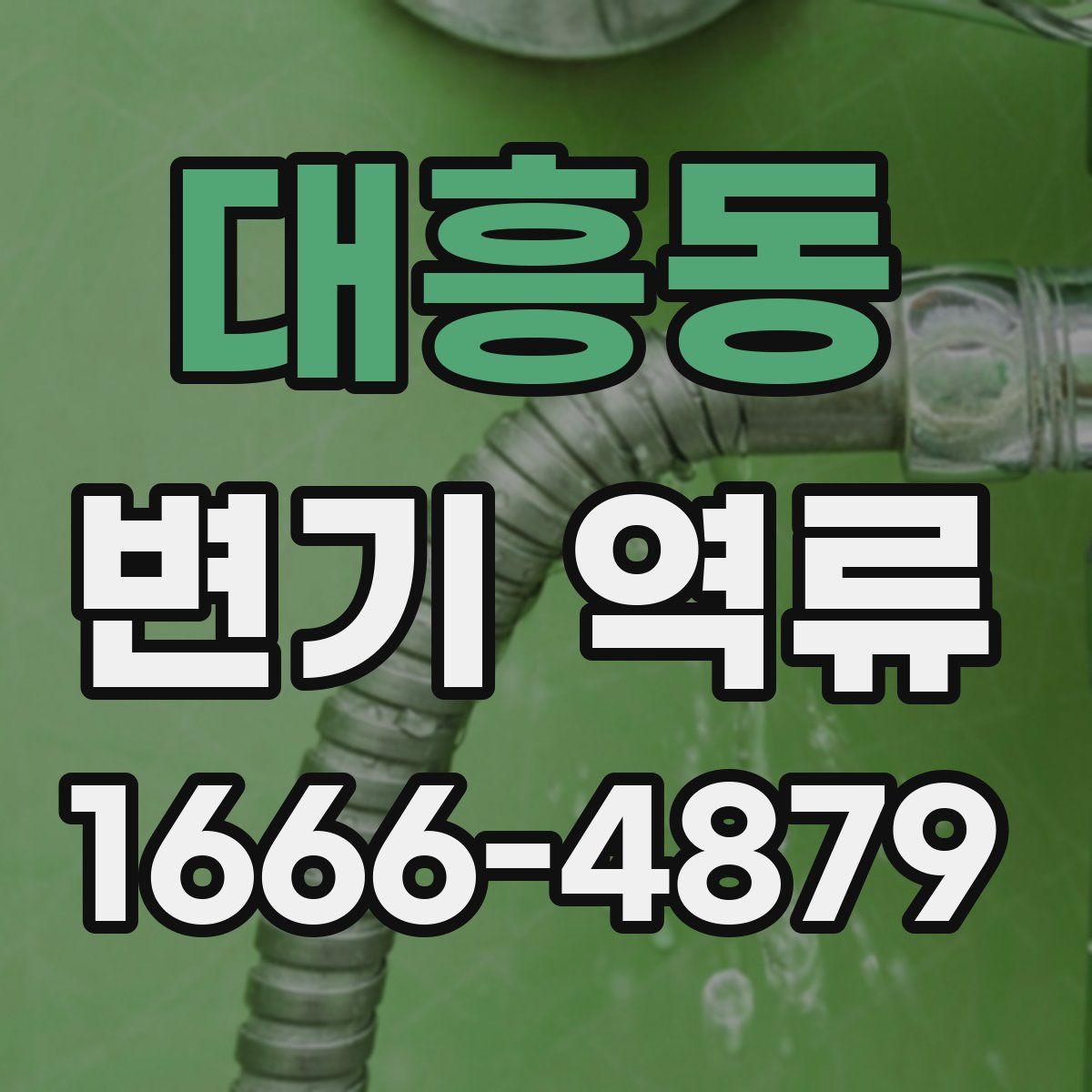 대흥동 변기 역류