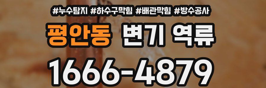 평안동 변기 역류