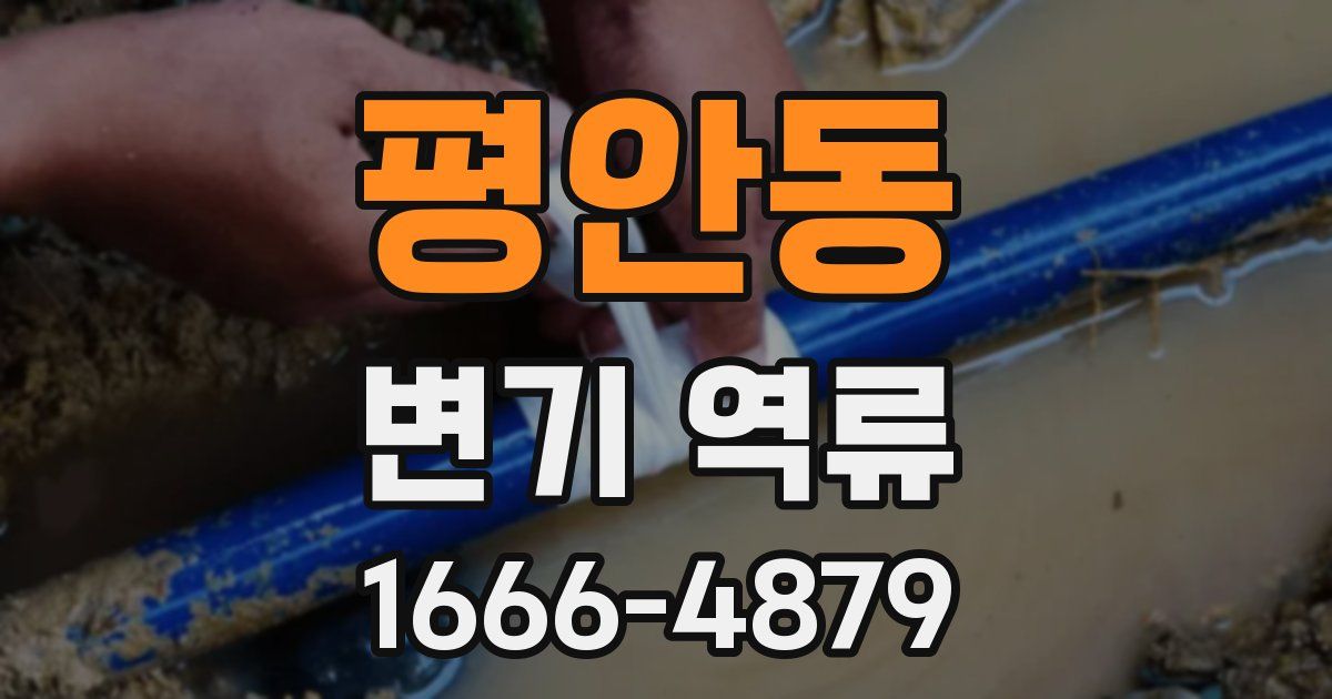 평안동 변기 역류