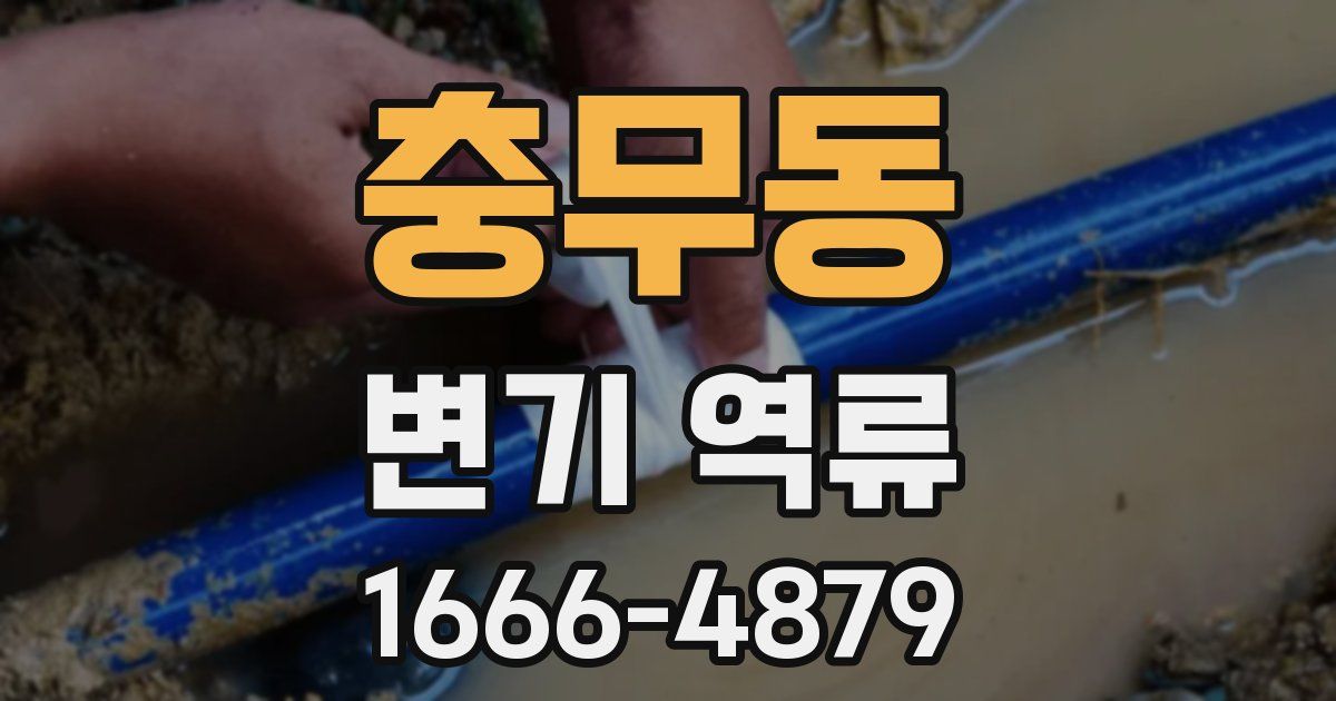 충무동 변기 역류