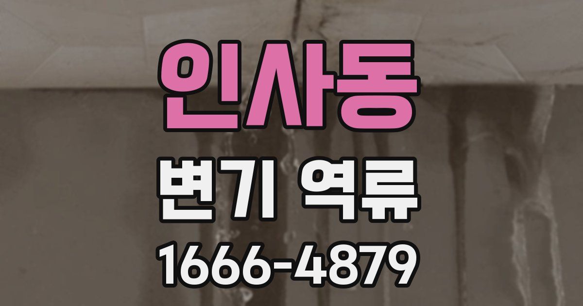 인사동 변기 역류