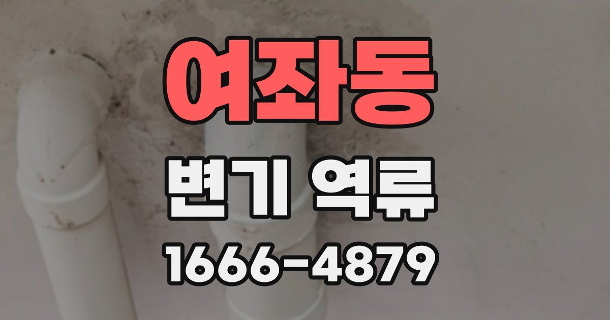 여좌동 변기 역류