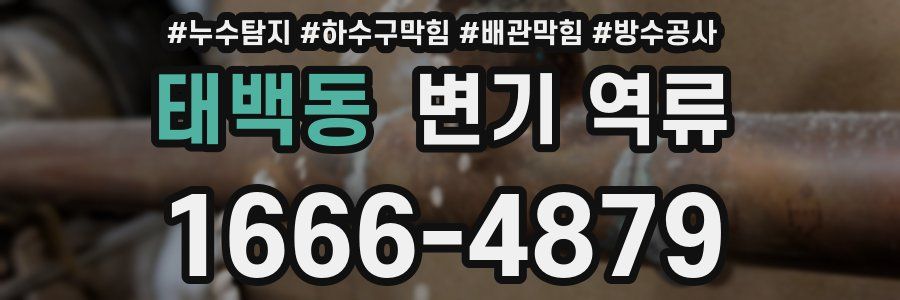 태백동 변기 역류
