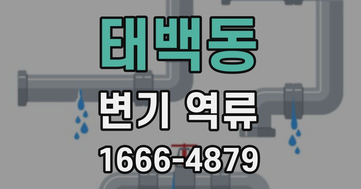 태백동 변기 역류