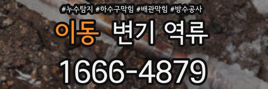 이동 변기 역류