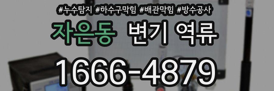 자은동 변기 역류