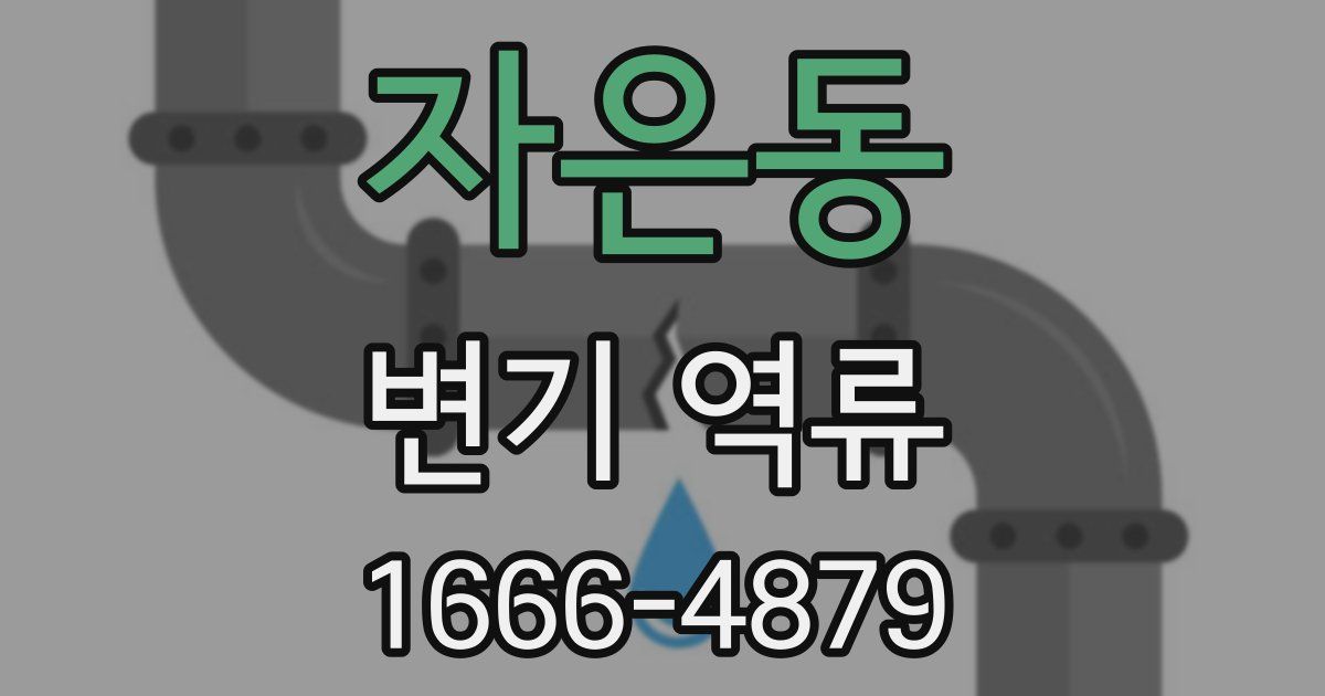 자은동 변기 역류