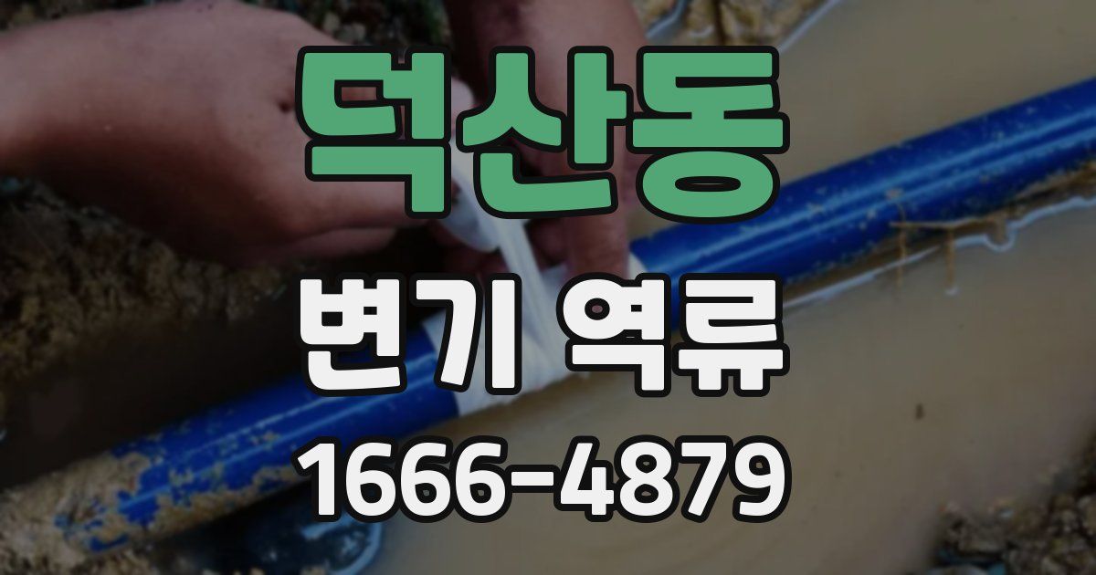 덕산동 변기 역류