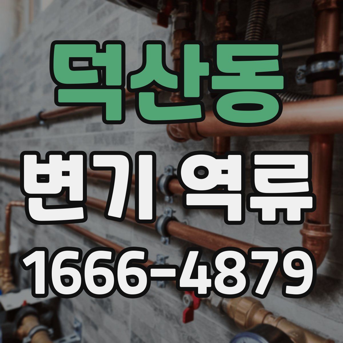 덕산동 변기 역류