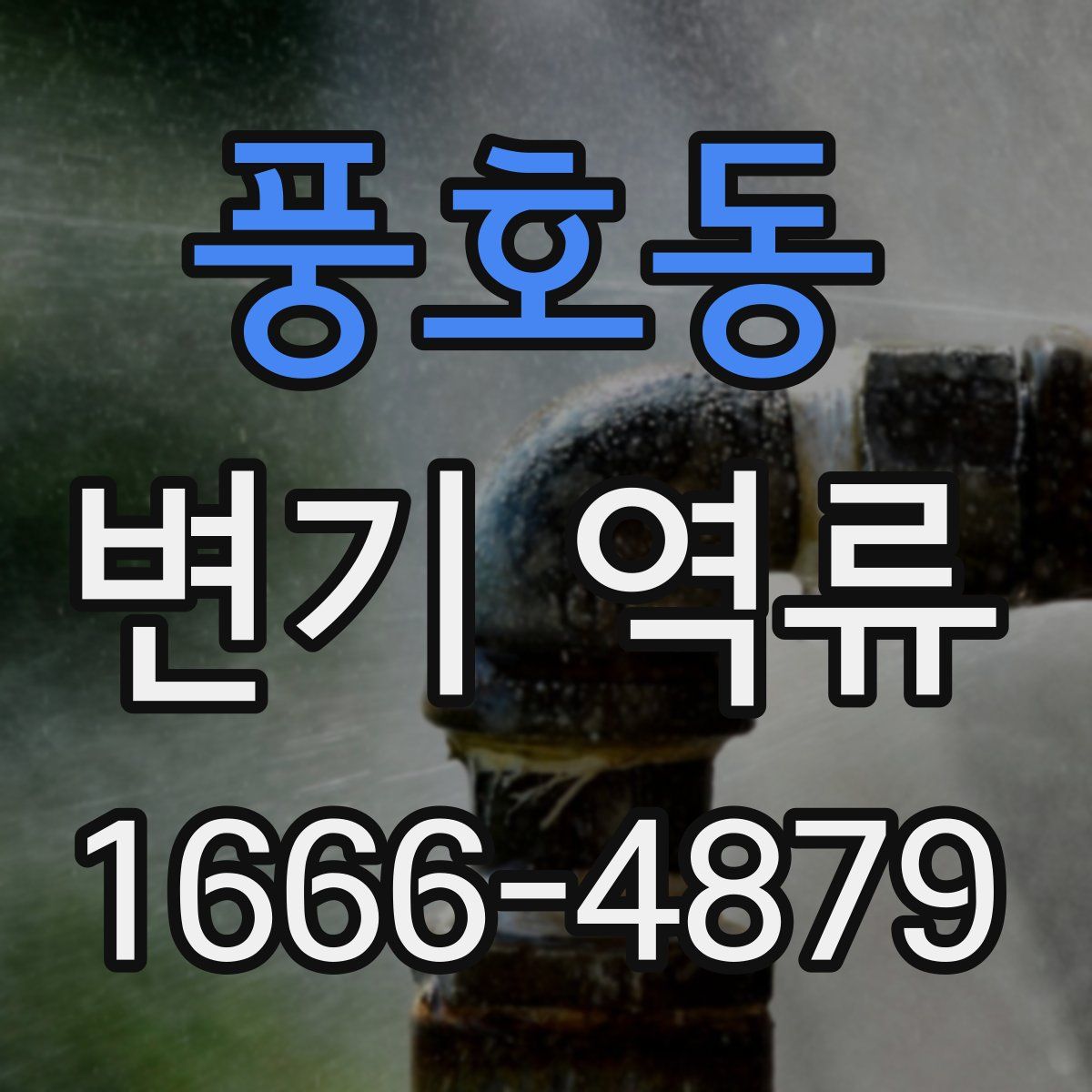 풍호동 변기 역류