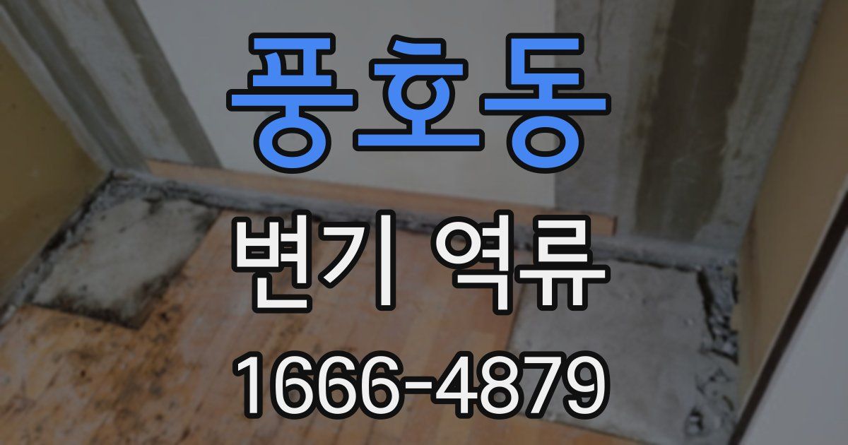 풍호동 변기 역류