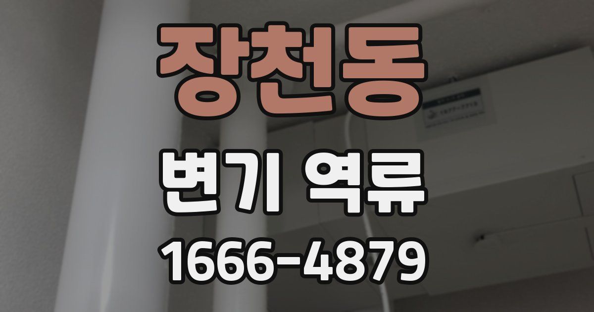 장천동 변기 역류