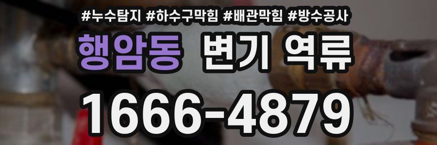 행암동 변기 역류