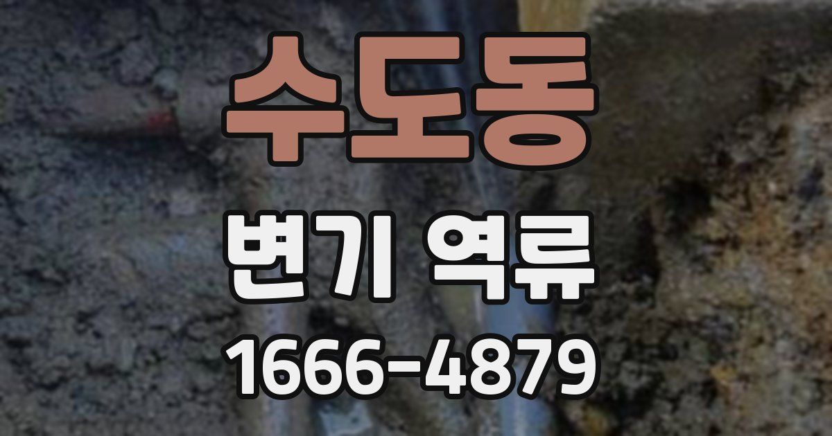 수도동 변기 역류