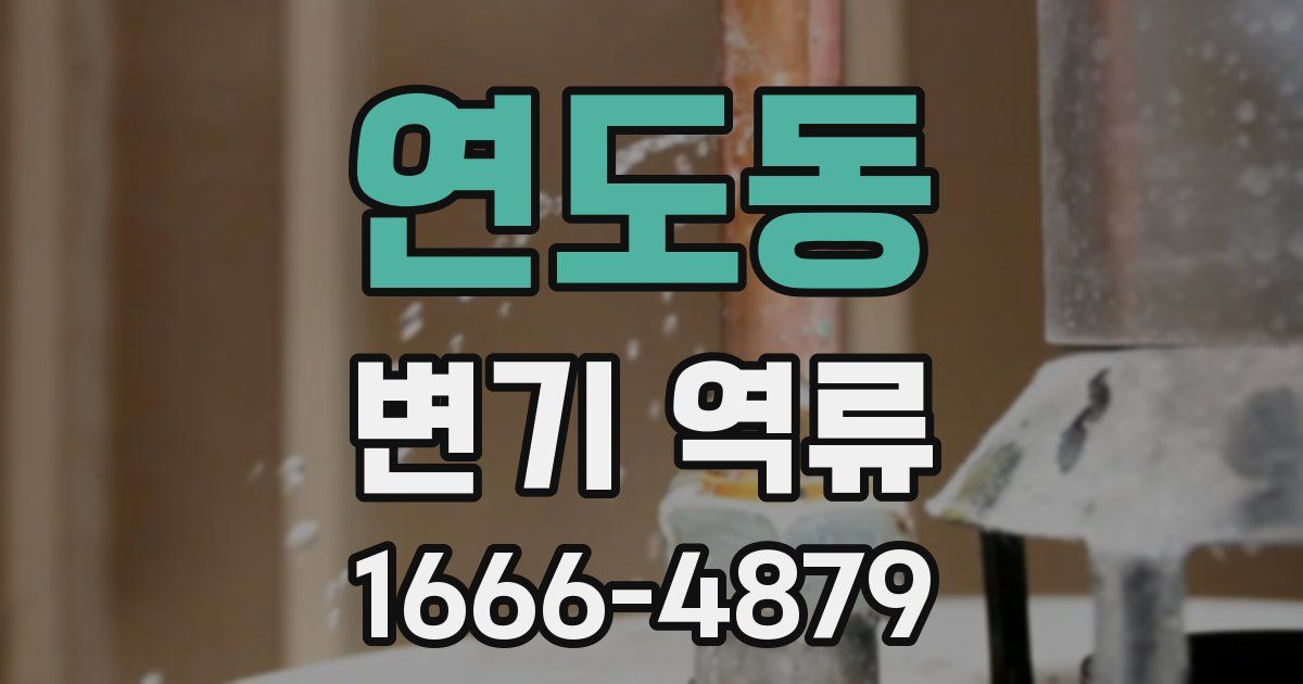연도동 변기 역류