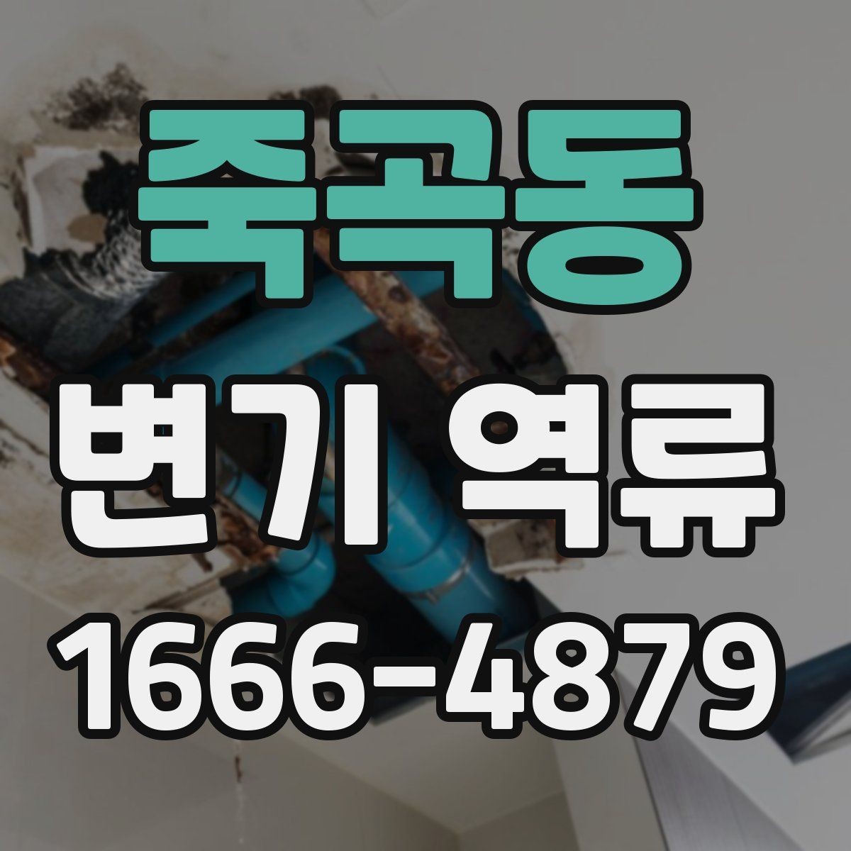 죽곡동 변기 역류 전문 점검이 필요한 대표 사례