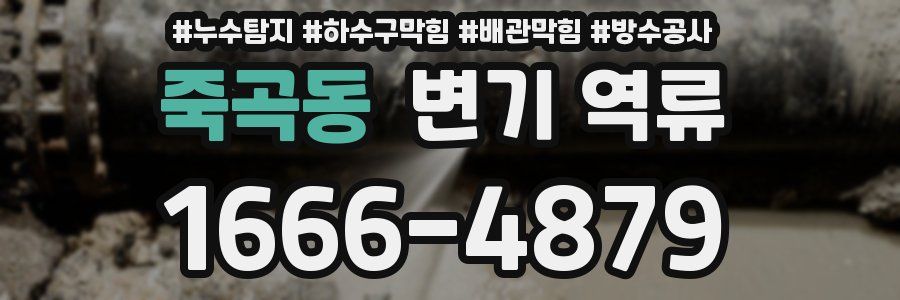 죽곡동 변기 역류