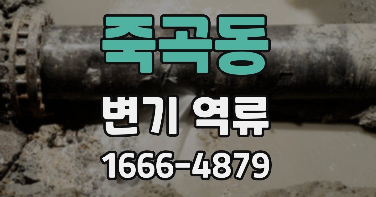 죽곡동 변기 역류