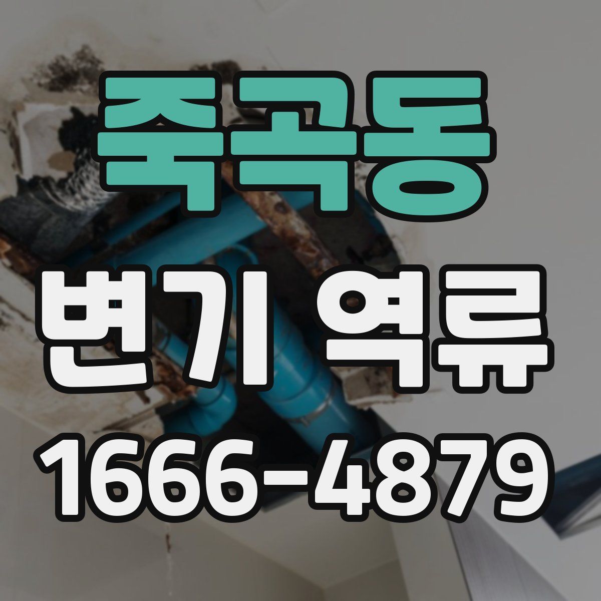 죽곡동 변기 역류