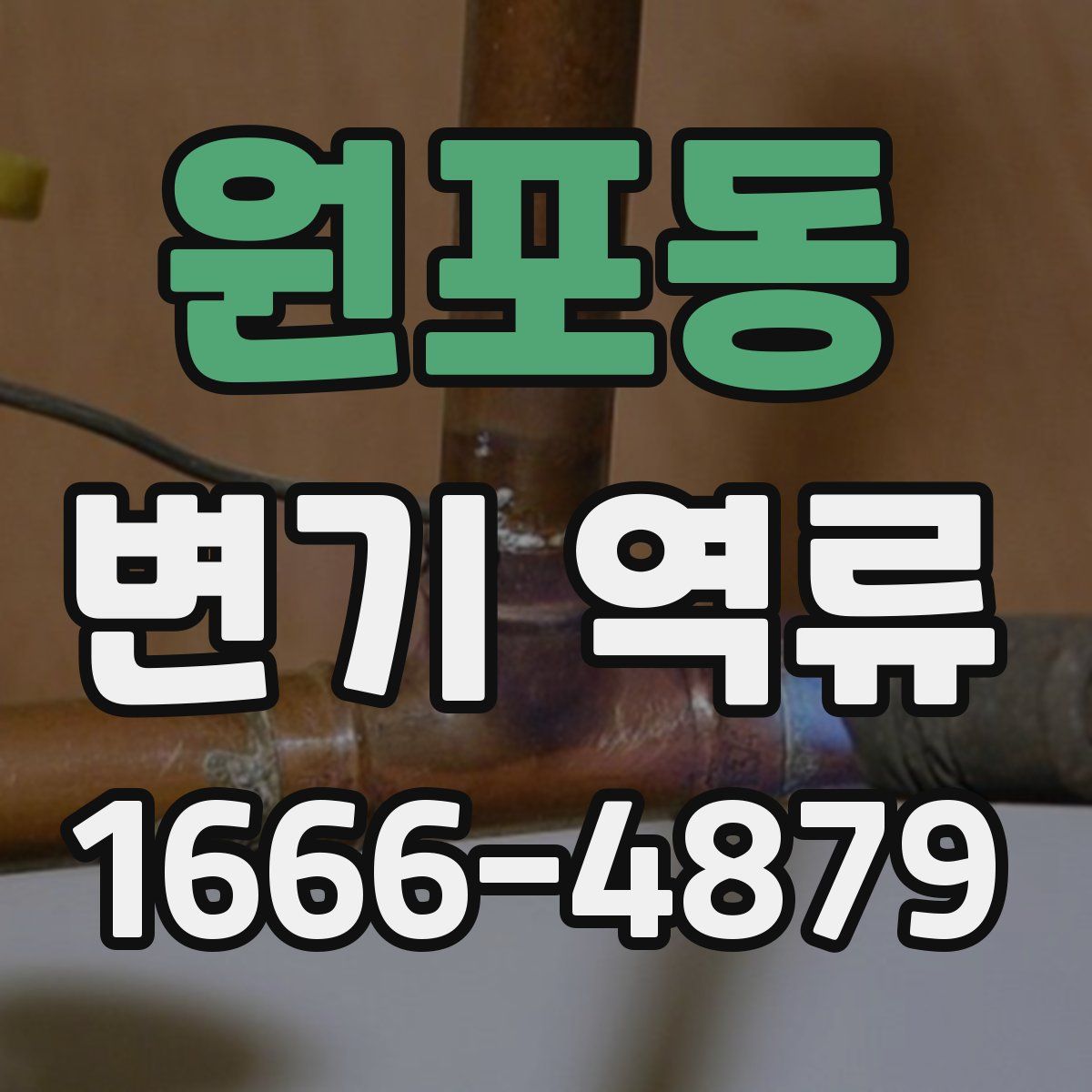 원포동 변기 역류