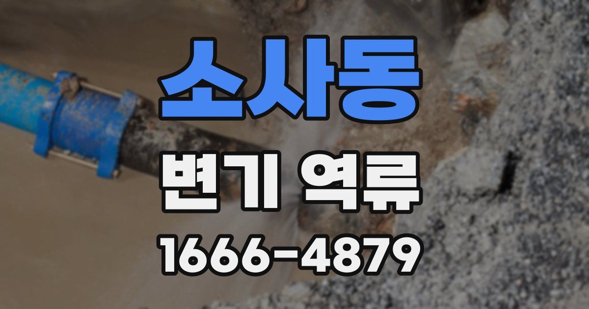 소사동 변기 역류
