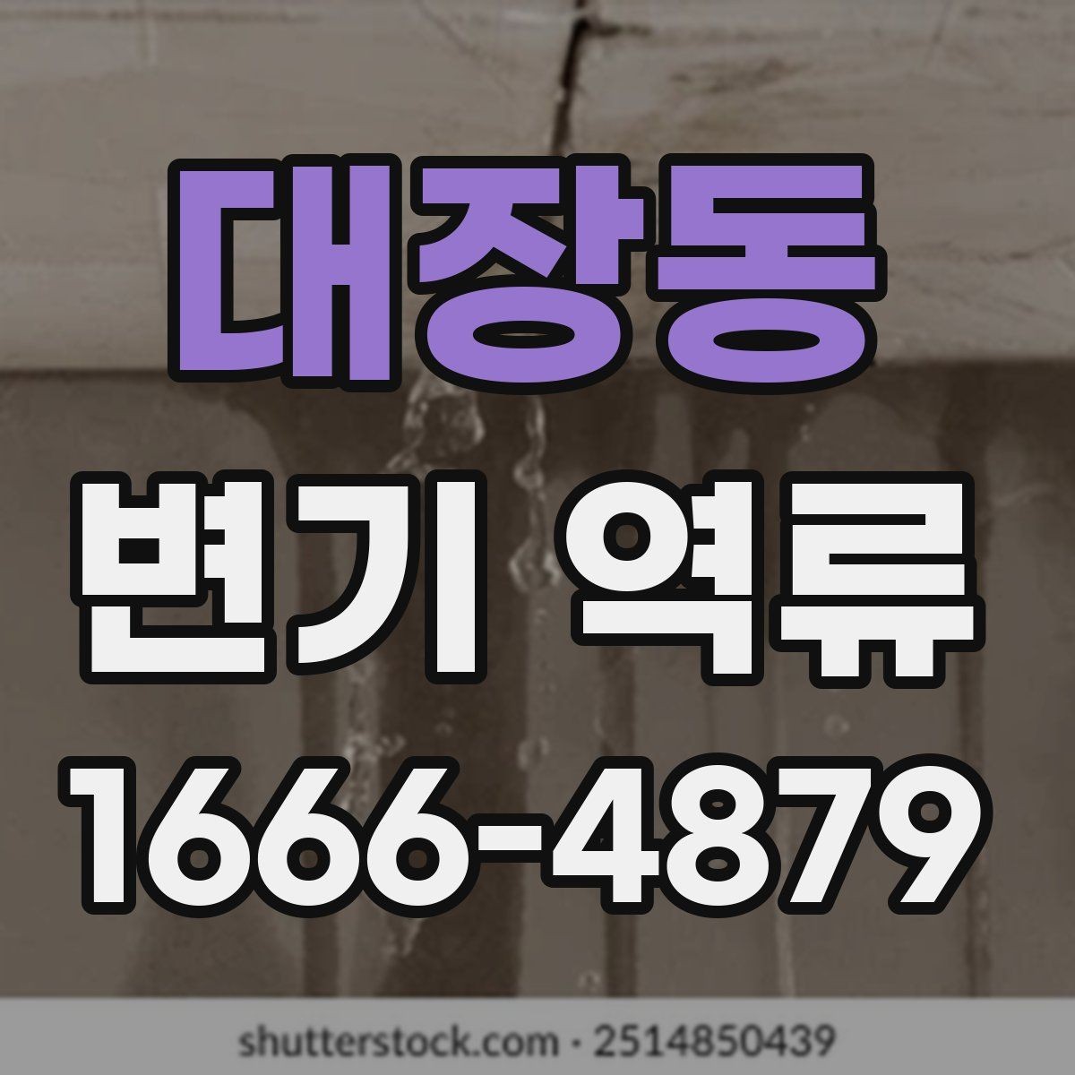 대장동 변기 역류 상황에서 안전하게 청소하는 법