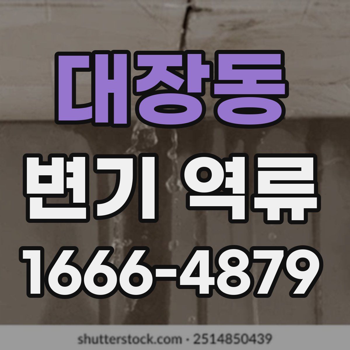 대장동 변기 역류
