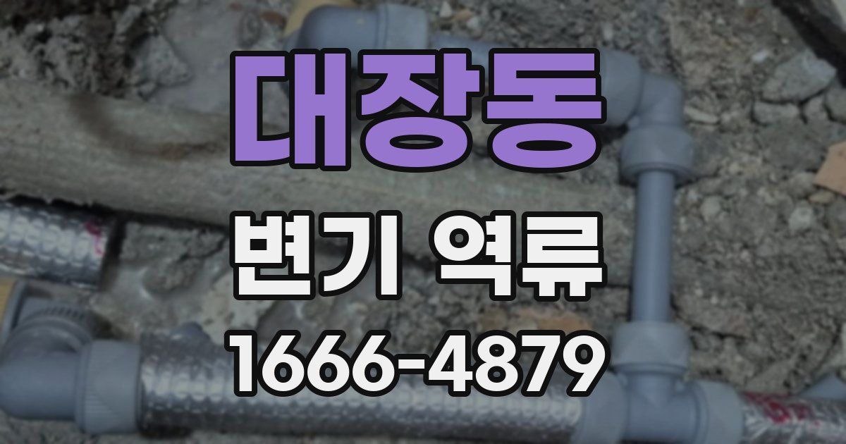 대장동 변기 역류