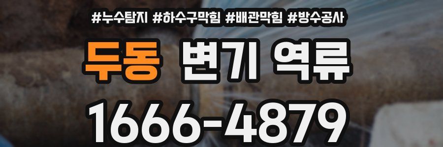 두동 변기 역류