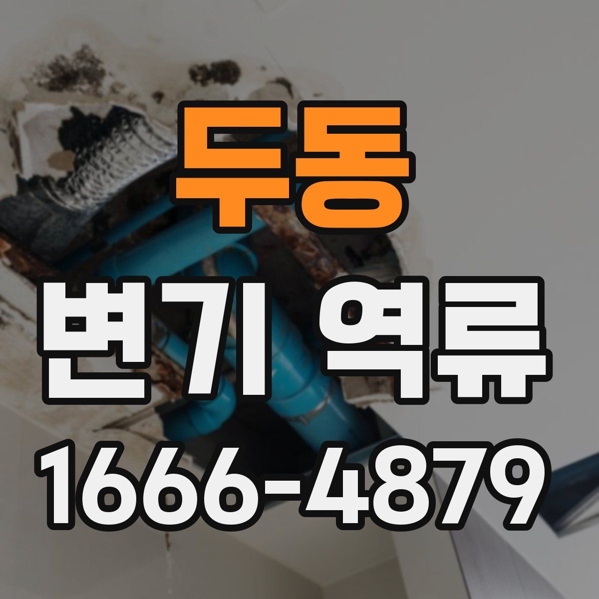두동 변기 역류