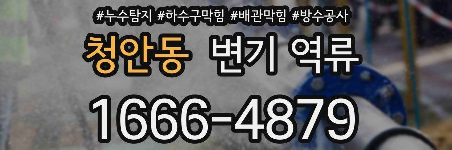 청안동 변기 역류