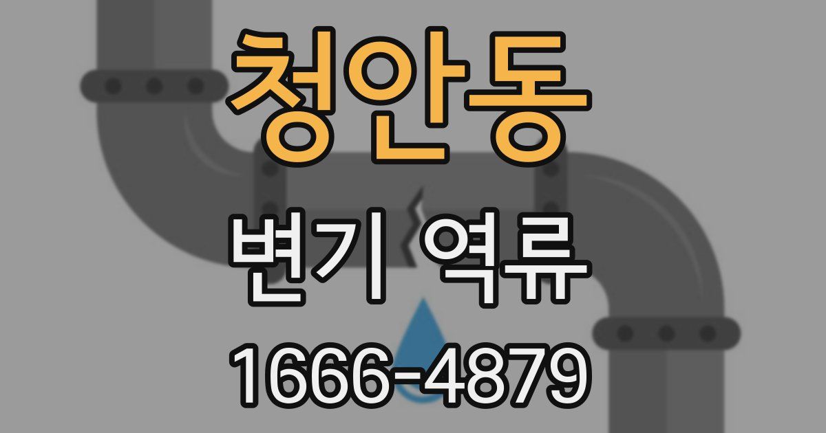 청안동 변기 역류