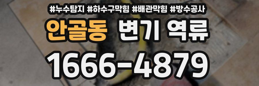 안골동 변기 역류