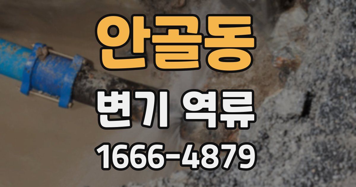 안골동 변기 역류
