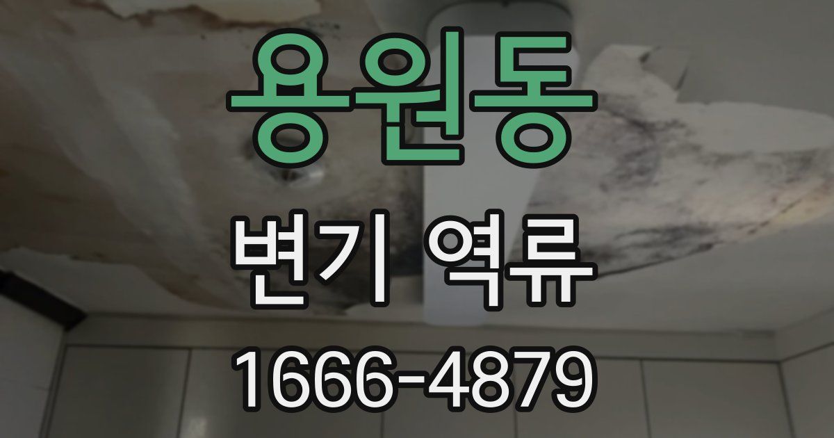 용원동 변기 역류