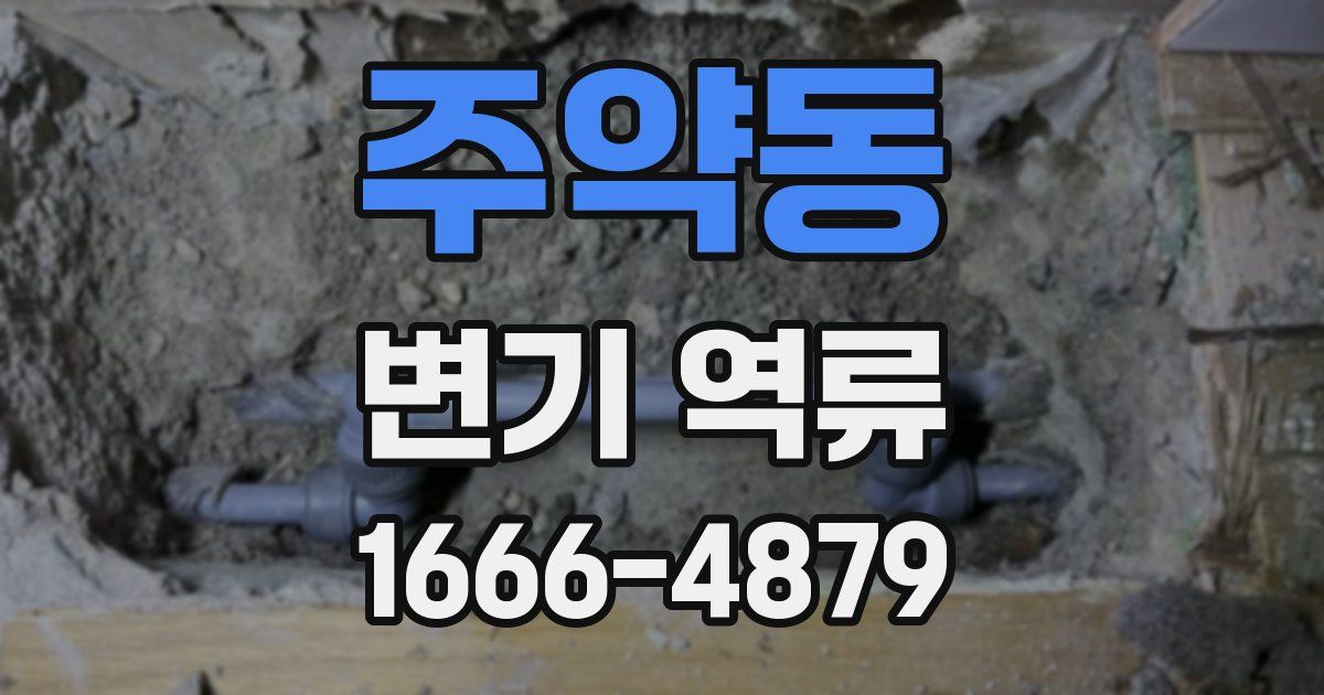 주약동 변기 역류
