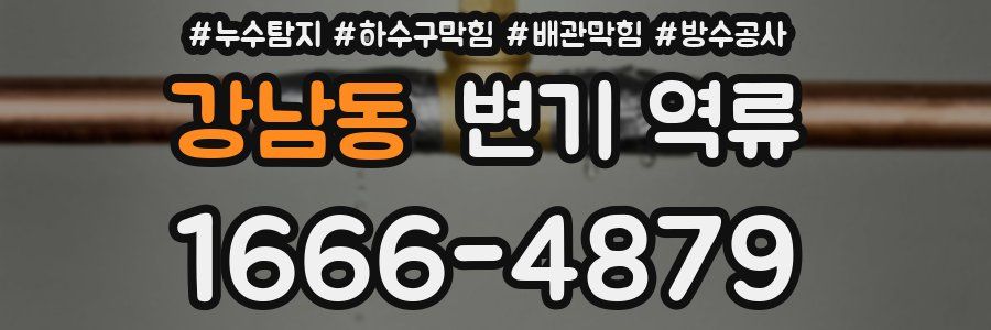 강남동 변기 역류